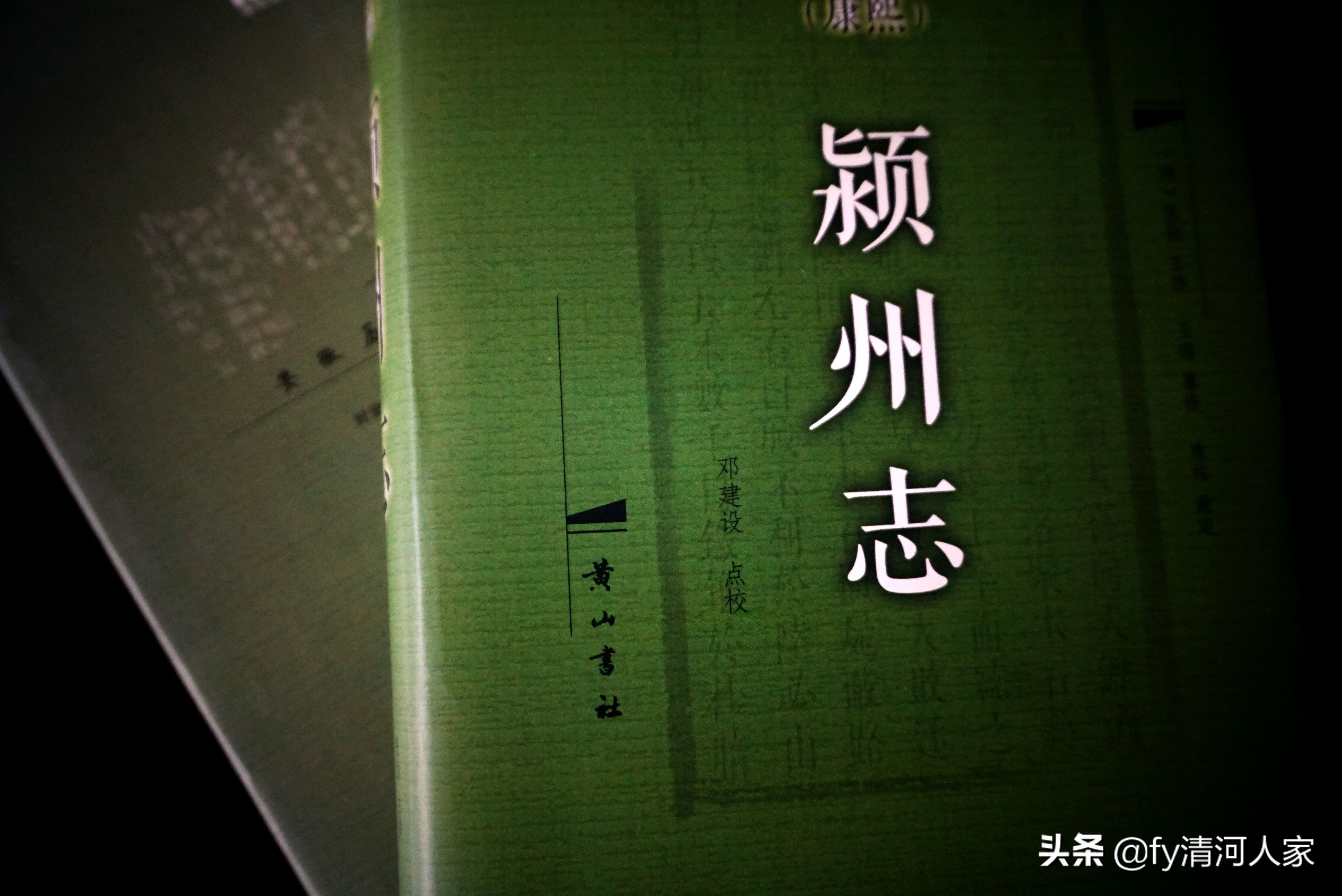 张杰｜清代阜阳地方志中的贞节烈女初探